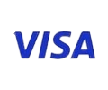 Visa logo on a green background